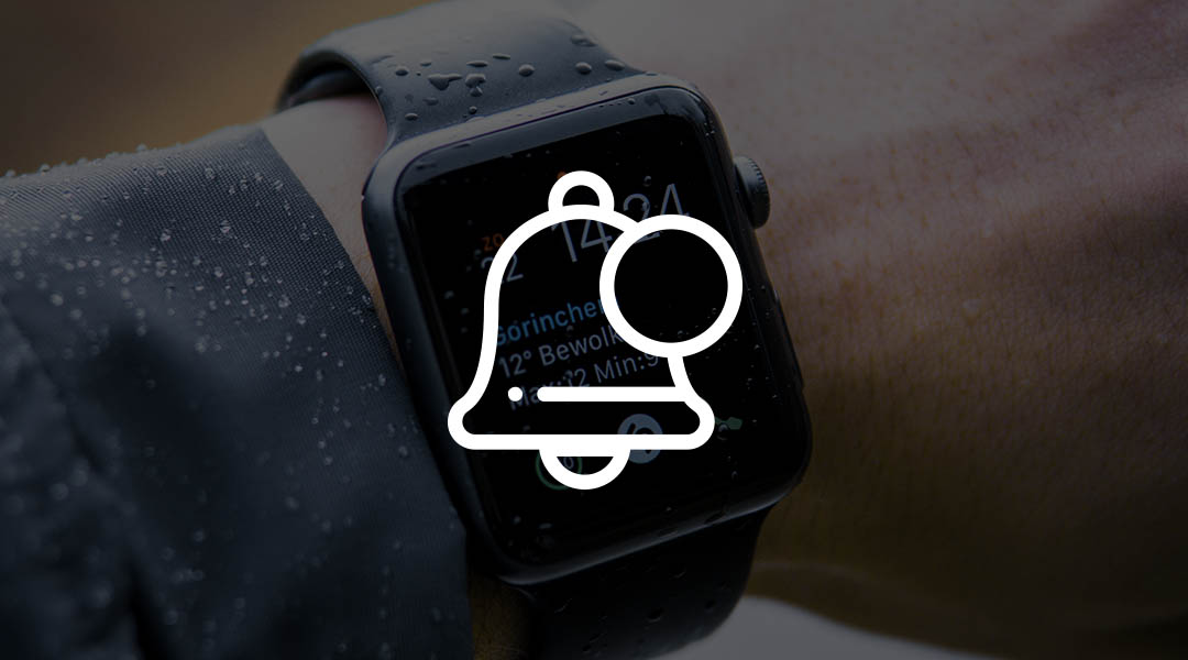 Seguridad circuitos electronicos